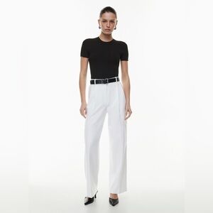 Aritzia Babaton Spotlight Cargo Pant